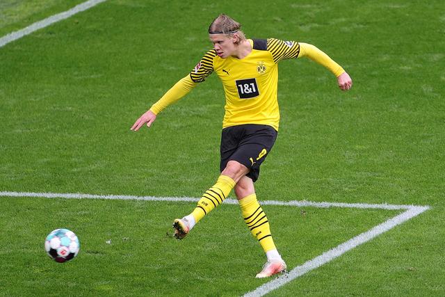 作为一种强 作为一种强